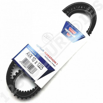 El modelo de Correa trapezoidal dentada Optibelt Marathon 1 AVX10X1225 La - AVX10X1225-OPTIBELT