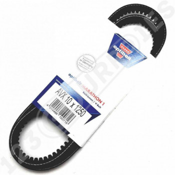El modelo de Correa trapezoidal dentada Optibelt Marathon 1 AVX10X1250 La - AVX10X1250-OPTIBELT