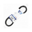 Correa trapezoidal dentada Optibelt Marathon 1 AVX10X1325 La