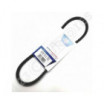 Correa trapezoidal dentada Optibelt Marathon 1 AVX10X730 La