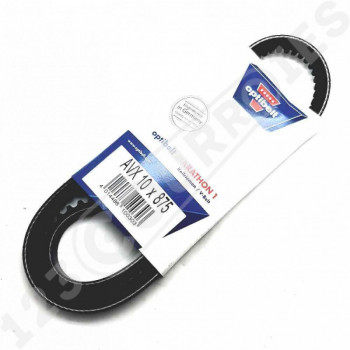 El modelo de Correa trapezoidal dentada Optibelt Marathon 1 AVX10X875 La - AVX10X875-OPTIBELT