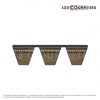 El modelo de Correa multicanales dentada 2-5VX1800 - 2-5VX1800