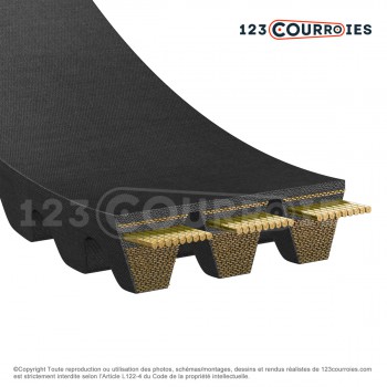El modelo de Correa multicanales dentada 5-XPB3350 - 5-XPB3350