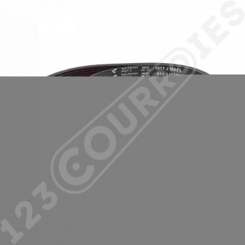 El modelo de Correa Hutchinson 8 PJ 1011 MAEL Flexonic - 1011J8MAEL-HUTCHINSON