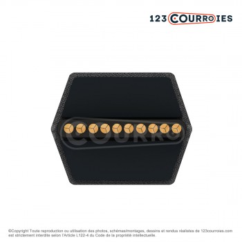 El modelo de Correa hexagonal AA124 - AA124