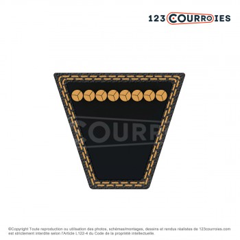El modelo de Correa trapezoidal lisa A17 - A17