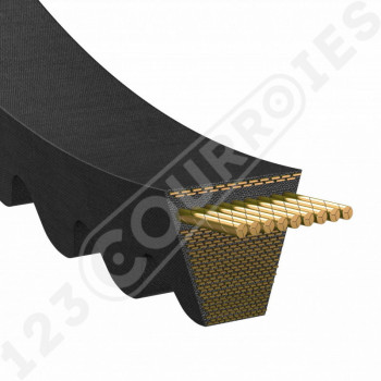 El modelo de Correa trapezoidal dentada 3A2175 / 3A2175 - AVX13X2175