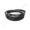 Correa trapezoidal dentada AVX10X1005 / 1A01005