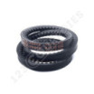 Correa trapezoidal dentada AVX10X695 / 1A0695