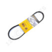 Correa trapezoidal dentada Contitech AVX10X715 La