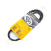 Correa trapezoidal dentada Contitech AVX10X813 La