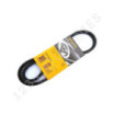 Correa trapezoidal dentada Contitech AVX13X975 La