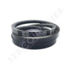 Correa trapezoidal dentada BX55