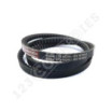 Correa trapezoidal dentada BX64