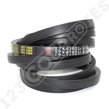 El modelo de Correa trapezoidal lisa B164 - B164
