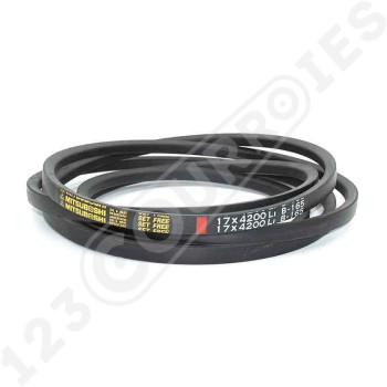 El modelo de Correa trapezoidal lisa B165 - B165