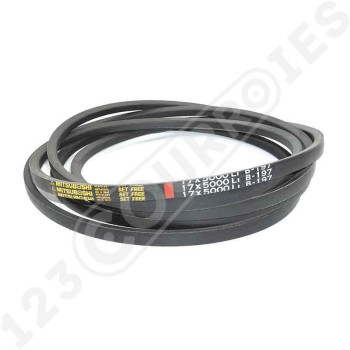 El modelo de Correa trapezoidal lisa B197 - B197