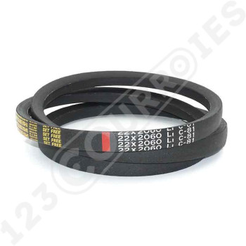 El modelo de Correa trapezoidal lisa C81 - C81