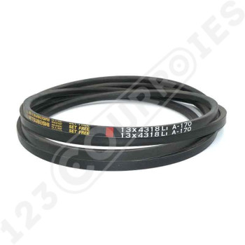 El modelo de Correa trapezoidal lisa A170 - A170