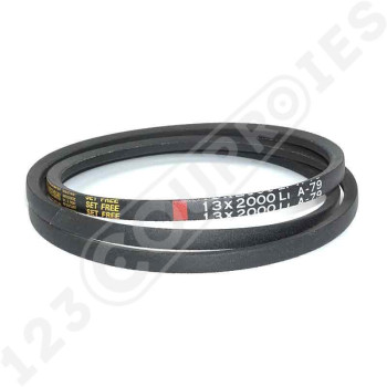 El modelo de Correa trapezoidal lisa A79 - A79