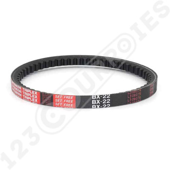 El modelo de Correa trapezoidal dentada BX22 - BX22