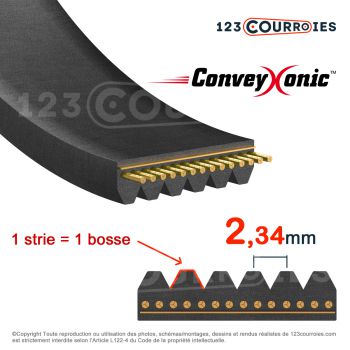 El modelo de Correa Hutchinson Conveyxonic 3PJ376 - 3PJ376C-HUTCHINSON