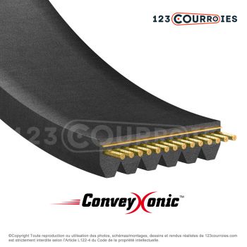El modelo de Correa Hutchinson Conveyxonic 3PJ376 - 3PJ376C-HUTCHINSON
