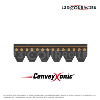 El modelo de Correa Hutchinson Conveyxonic 3PJ376 - 3PJ376C-HUTCHINSON