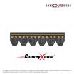 El modelo de Correa Hutchinson Conveyxonic 3PJ376 - 3PJ376C-HUTCHINSON