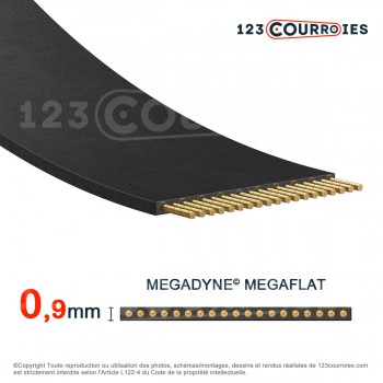 El modelo de Correa plana sin fin Megaflat T150-1820-15-MEGADYNE - T150-1820-15-MEGADYNE