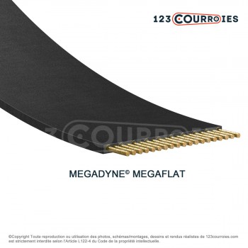 El modelo de Correa plana sin fin Megaflat T150-1820-15-MEGADYNE - T150-1820-15-MEGADYNE