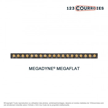 El modelo de Correa plana sin fin Megaflat T150-1820-15-MEGADYNE - T150-1820-15-MEGADYNE