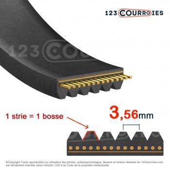 El modelo de Correa Poly-V striée automobile Générique 3PK1020 - 3PK1020AUTO