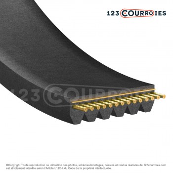 El modelo de Correa Poly-V striée automobile Contitech 5PK1715 - 5PK1715-AUTO-CONTITECH
