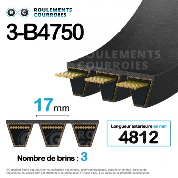 El modelo de Correa multicanales lisa 3-B187 - 3-B187