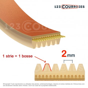 El modelo de Correa poly-v poliuretano Mégadyne 4-360TB2 - 4-360TB2-MEGADYNE