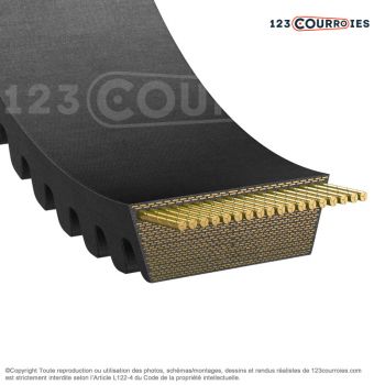 El modelo de Correa variador Mégadyne VARISECT 32x10x1750 Li - 32X10-1750-MEGADYNE