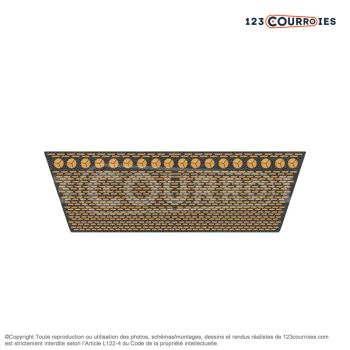 El modelo de Correa variador Mégadyne VARISECT 32x10x1750 Li - 32X10-1750-MEGADYNE