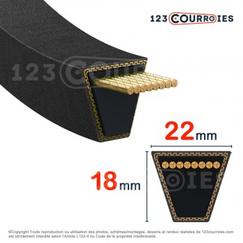 El modelo de Correa trapezoidal lisa Optibelt SK SPC8000 Lw - SPC8000-OPTIBELT