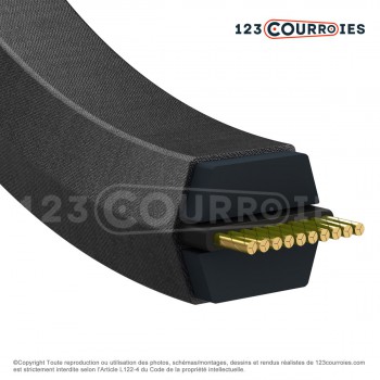 El modelo de Correa hexagonal Megadyne ESAFLEX AA69 13 x 1805 Le - AA69-MEGADYNE