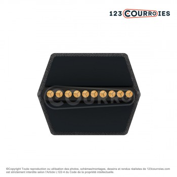 El modelo de Correa hexagonal Megadyne ESAFLEX AA69 13 x 1805 Le - AA69-MEGADYNE