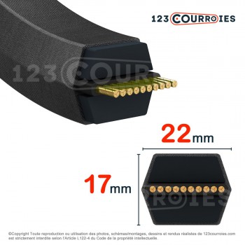 El modelo de Correa hexagonal Megadyne ESAFLEX CC420 22 x 10725 Le - CC420-MEGADYNE