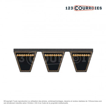 El modelo de Correa multicanales lisa 2-8V2500 - 2-8V2500