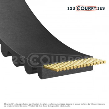 El modelo de Correa dentada abierta 3M15-NEOGLASS - 3M15-NEOGLASS