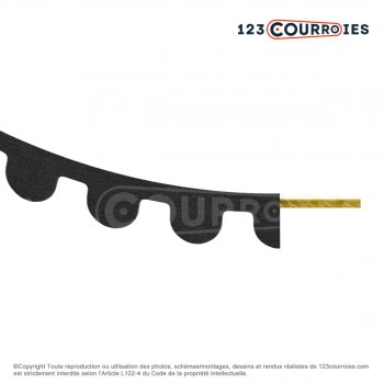 El modelo de Correa dentada abierta 3M15-NEOGLASS - 3M15-NEOGLASS