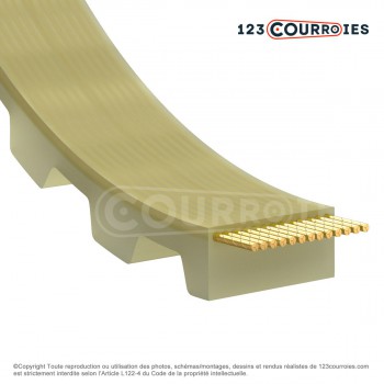 El modelo de Correa dentada abierta 16T5-PUSTEEL - 16T5-PUSTEEL