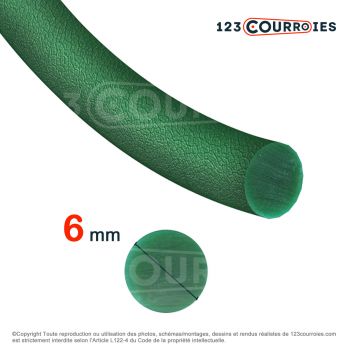 El modelo de Correa redonda termosellable a medida CR6X1145-VERDE - CR6X1145-VERT