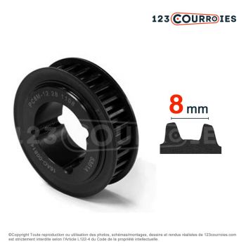 El modelo de Polea dentada Polychain para agujero cilíndrico PD8MPCGT45-12MA-GATES - PD8MPCGT45-12MA-GATES