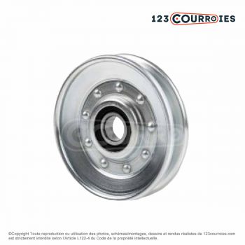 El modelo de Polea tensor INA RSRB13117-LO - RSRB13117-LO-INA