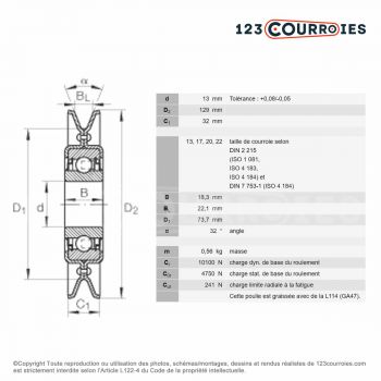 El modelo de Polea tensor INA RSRA13129-LO - RSRA13129-LO-INA
